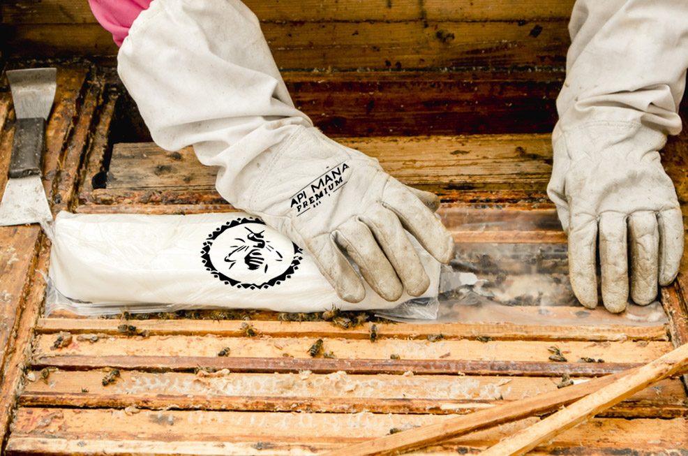 Obrázek Quando iniziare con la stimolazione e quali vantaggi ha?