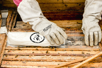 Obrázek Quando iniziare con la stimolazione e quali vantaggi ha?