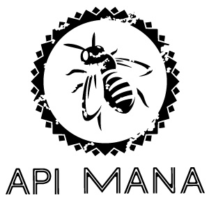 Api Mana Logo