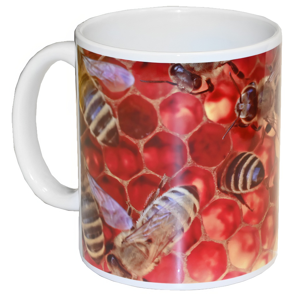 Tazza ApiSina favo - grande
