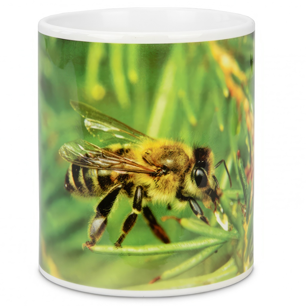 Tazza ApiSina prendimiele