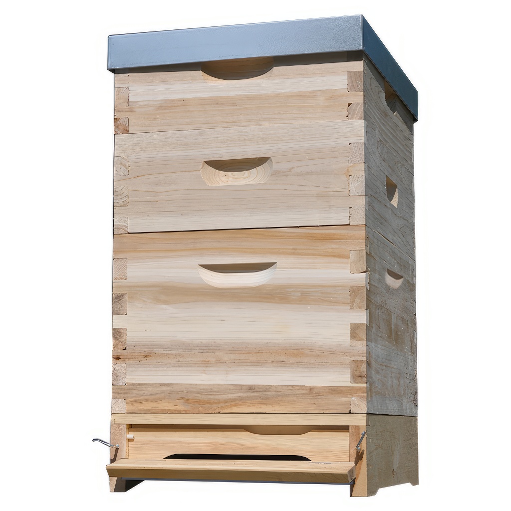 Arnia Dadant 1x(285) + 2x2/3(159) - 10 telaini - zincata