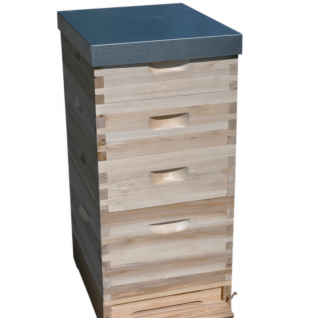Arnia Dadant 1x(285) + 3x2/3(159) - 10 telaini - zincata