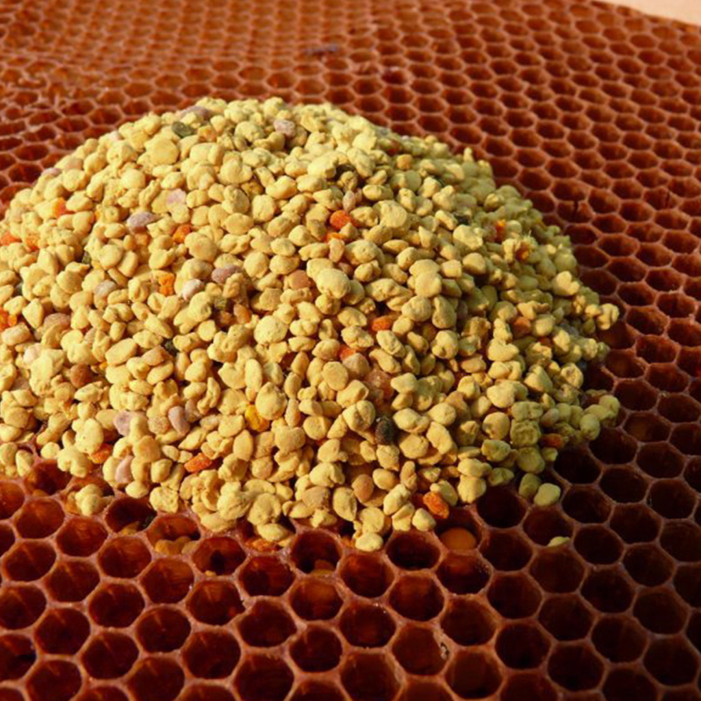 Polline di fiori Pleva - 100g