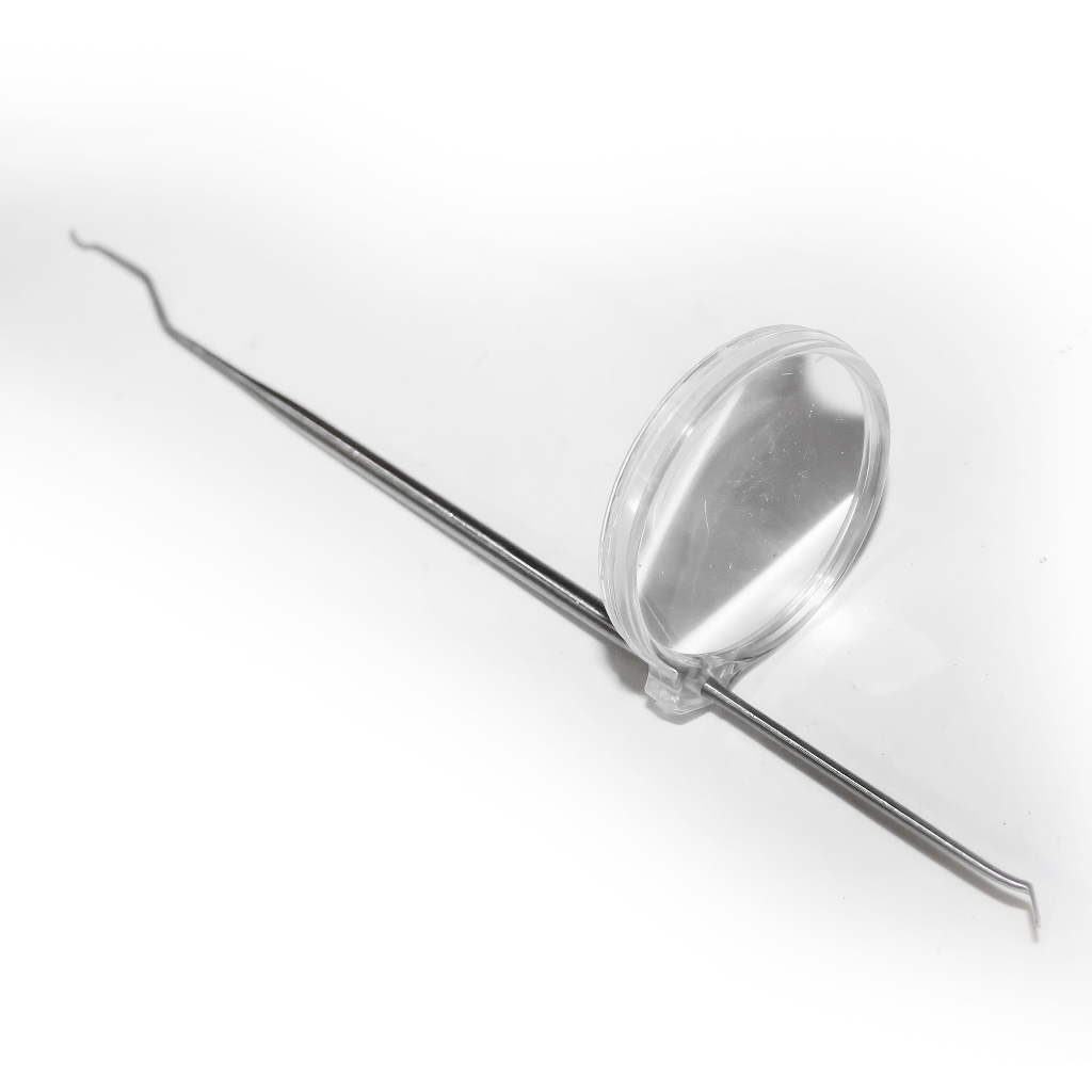 Coglilarva in acciaio inox con lente d'ingrandimento