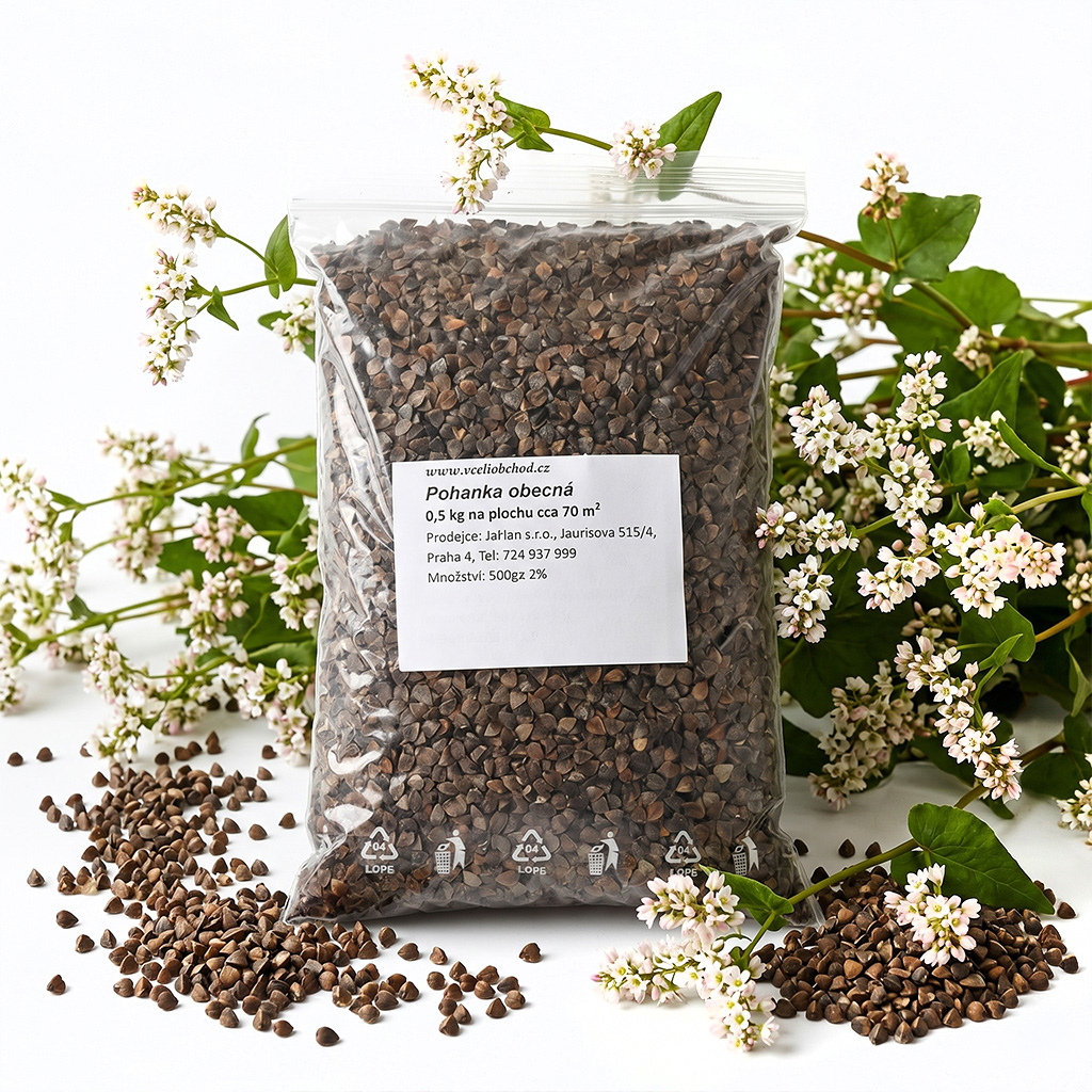 Grano saraceno comune (sementi / pascolo apistico) - 0,5 kg