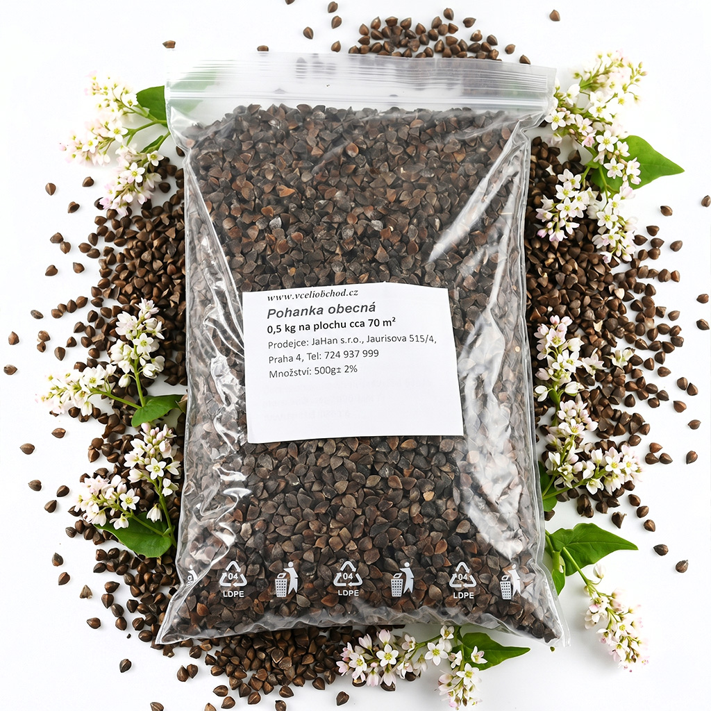 Grano saraceno comune (sementi / pascolo apistico) - 0,5 kg