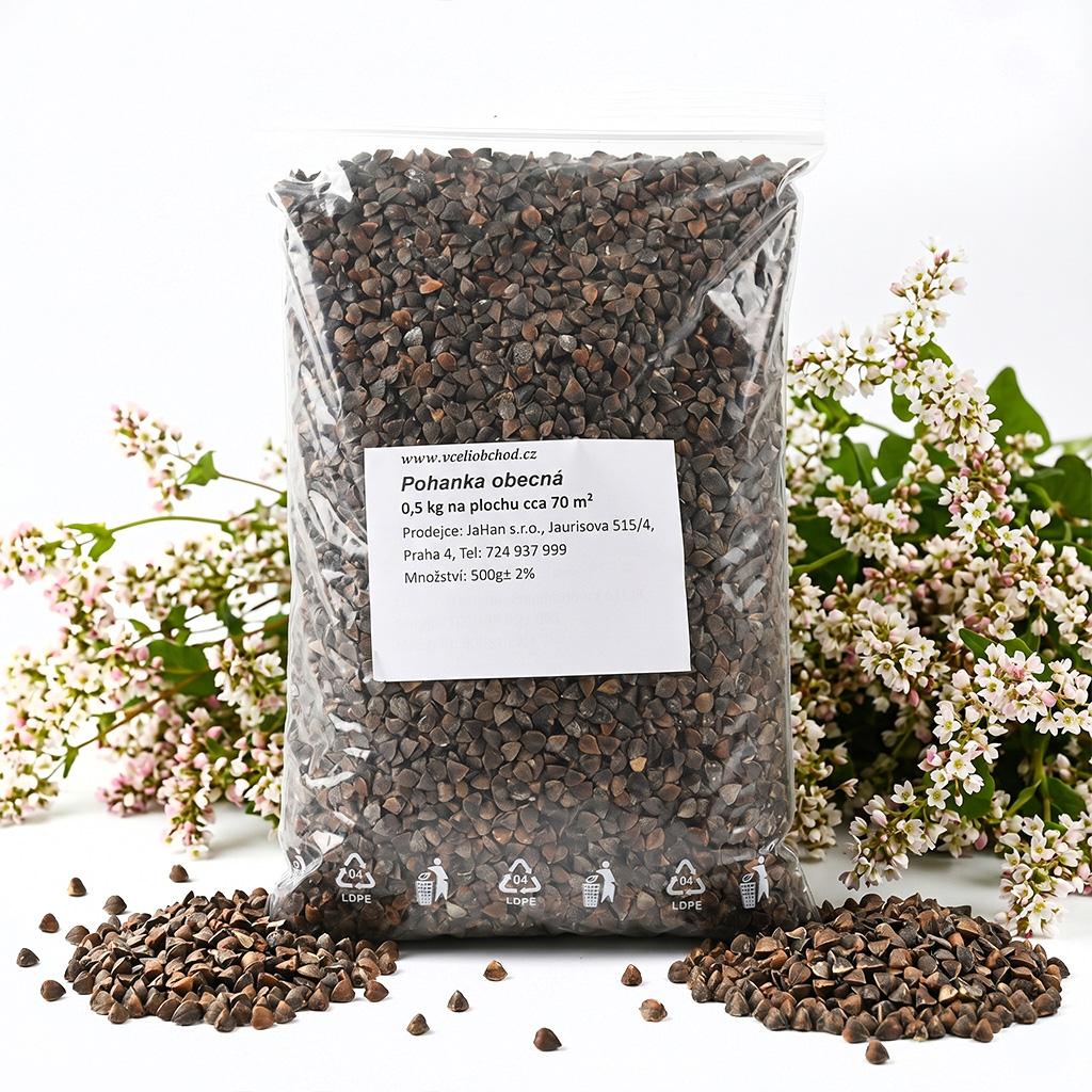 Grano saraceno comune (sementi / pascolo apistico) - 0,5 kg