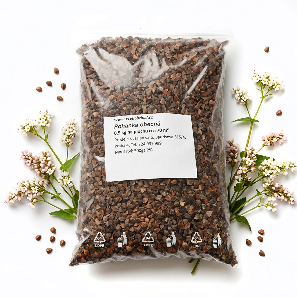 Grano saraceno comune (sementi / pascolo apistico) - 0,5 kg