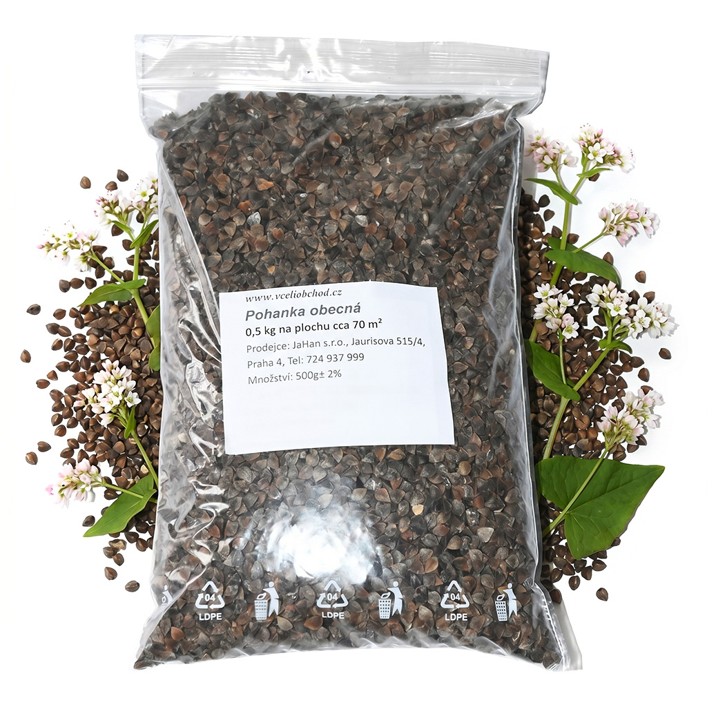Grano saraceno comune (sementi / pascolo apistico) - 0,5 kg