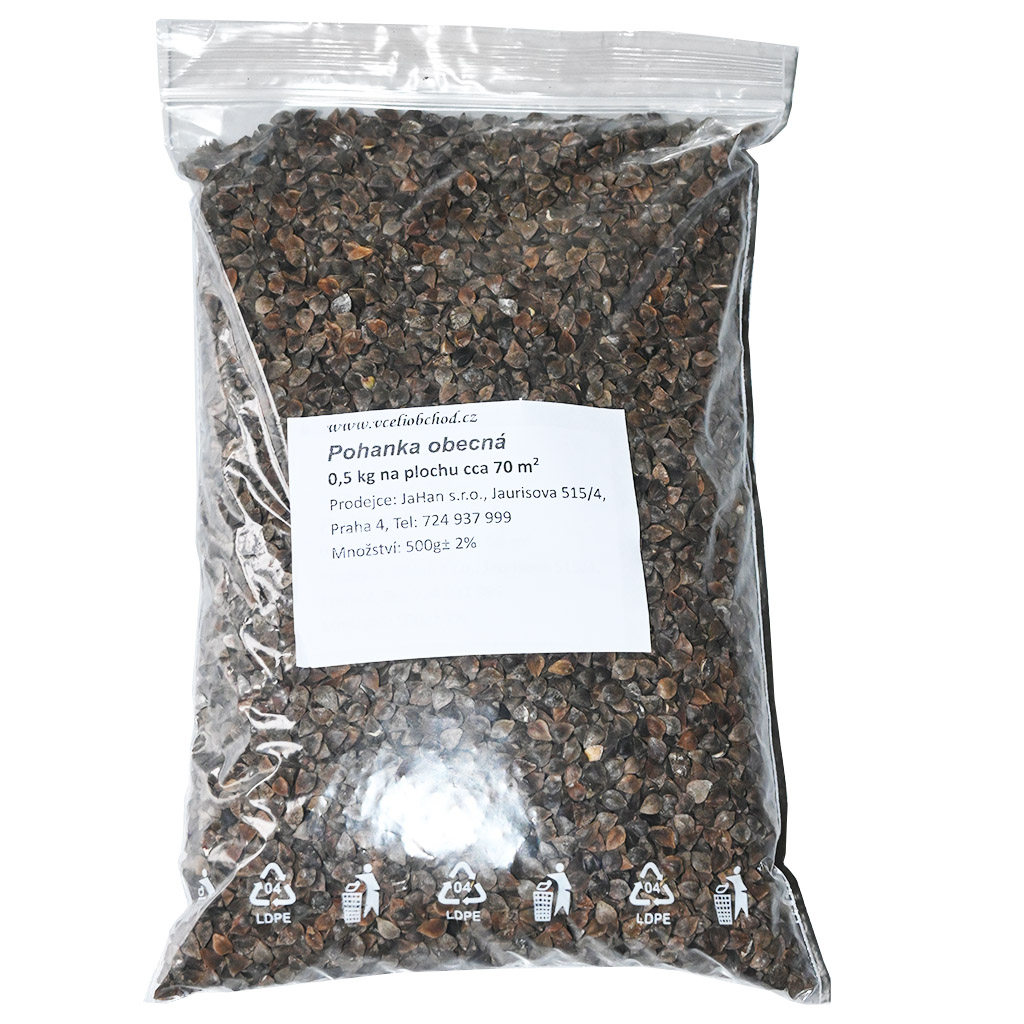 Grano saraceno comune (sementi / pascolo apistico) - 0,5 kg