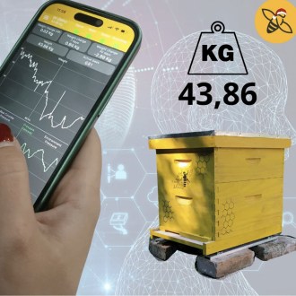 Bilancia per arnia 3M