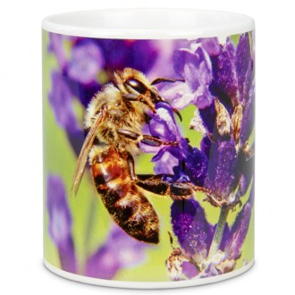 Tazza ApiSina ape e fiore viola 2