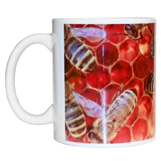 Tazza ApiSina favo - grande