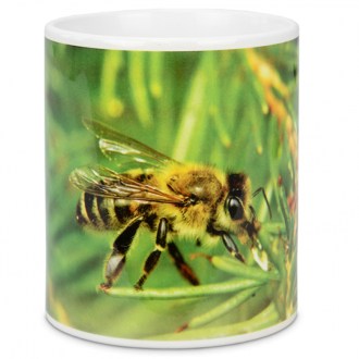 Tazza ApiSina prendimiele