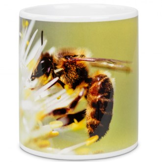 Tazza ApiSina ape con fiore bianco