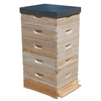 Arnia Langstroth 5 x 2/3 (159) - 10 telaini - zincata