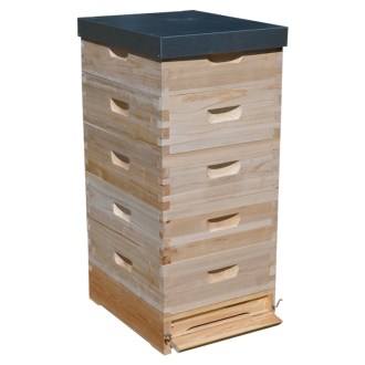 Arnia Langstroth 5 x 2/3 (159) - 10 telaini - zincata