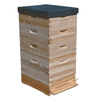 Arnia Langstroth 5 x 2/3 (159) - 10 telaini - zincata