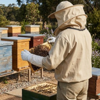 Camiciotto da apicoltore OPTIMA Lysoň, taglie: S-XXXXL