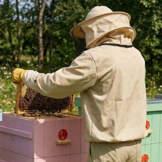 Camiciotto da apicoltore OPTIMA Lysoň, taglie: S-XXXXL