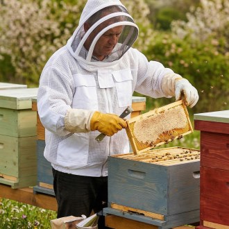 Camiciotto da apicoltore professionale con maschera taglia: S-XXL