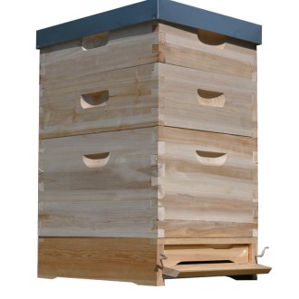Arnia Dadant 1x(285) + 2x2/3(159) - 10 telaini - zincata
