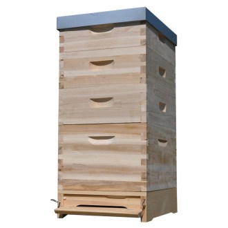 Arnia Dadant 1x(285) + 3x2/3(159) - 10 telaini - zincata