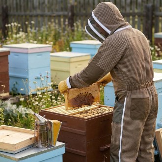 Tuta da apicoltore con ventilazione Elegant Bee taglia: S-XXXXL