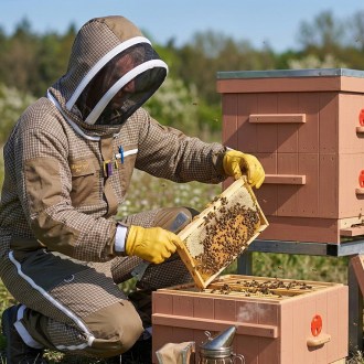 Tuta da apicoltore con ventilazione Elegant Bee taglia: S-XXXXL