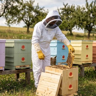 Tuta da apicoltore cosmonauta con cappuccio taglia: S - XXL