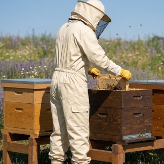 Tuta da apicoltore OPTIMA Lysoň, taglie: S-XXXXL