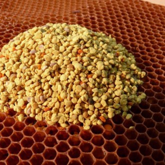 Polline di fiori Pleva - 100g