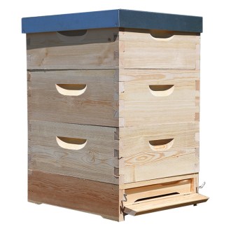 Arnia Langstroth 3 x 3/4 (185) - 10 f. - zinco