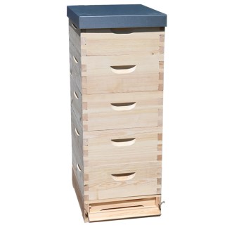 Arnia Langstroth 5 x 1/1 (232) - 10 telaini - zincata