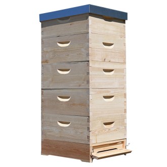 Arnia Langstroth 5 x 3/4 (185) - 10 telaini - zincata