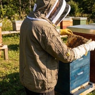 Camiciotto da apicoltore Elegant Bee taglia: S-XXXXL