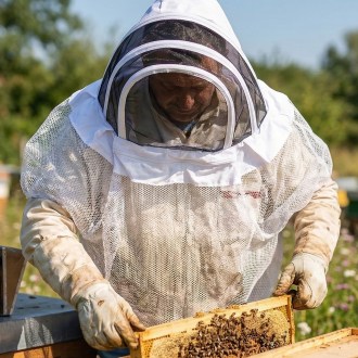 Maschera protettiva Mellarius con velo