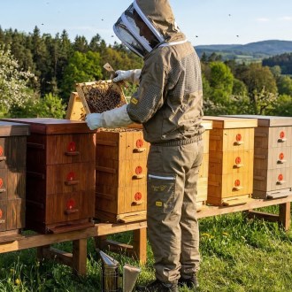 Camiciotto da apicoltore con ventilazione parziale Elegant Bee taglia: S-XXXXL