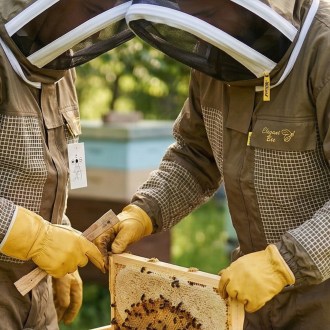 Tuta da apicoltore con ventilazione parziale Elegant Bee taglia: S-XXXXL