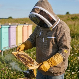 Camiciotto da apicoltore con ventilazione Elegant Bee taglia: S-XXXXL