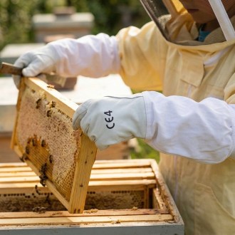 Guanti protettivi da apicoltore per bambini