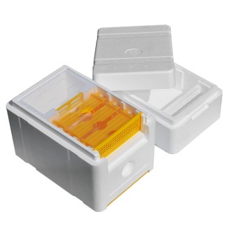 Nucleo di fecondazione con arnia - Mellarius - per 1 regina