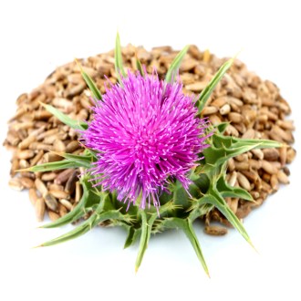 Cardo mariano - 0,5 kg