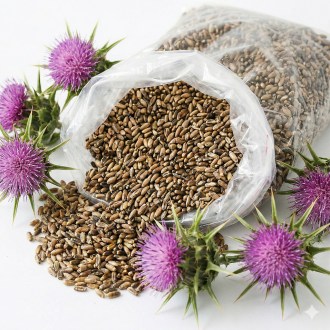 Cardo mariano - 0,5 kg