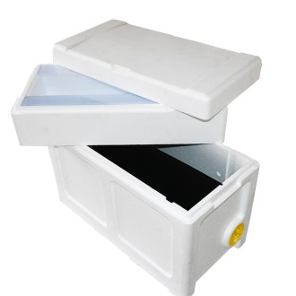 Arnia in polistirolo Langstroth 3/4 con arnia - 6 telaini