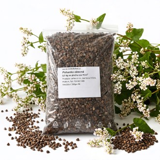 Grano saraceno comune (sementi / pascolo apistico) - 0,5 kg