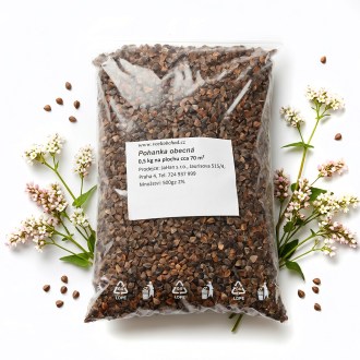 Grano saraceno comune (sementi / pascolo apistico) - 0,5 kg