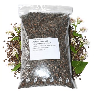 Grano saraceno comune (sementi / pascolo apistico) - 0,5 kg