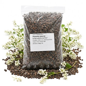 Grano saraceno comune (sementi / pascolo apistico) - 0,5 kg
